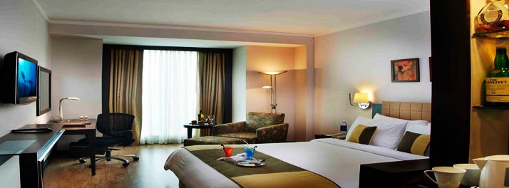 300/Goldfinch Hotel - Faridabad 14.jpg